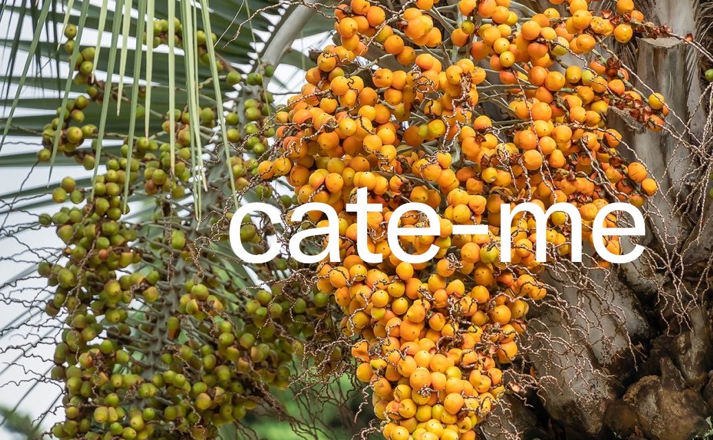 tô me divertindo fazendo essas bobajada