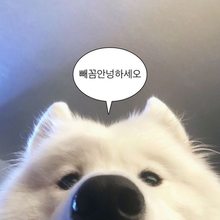 slow 아린 tweet media