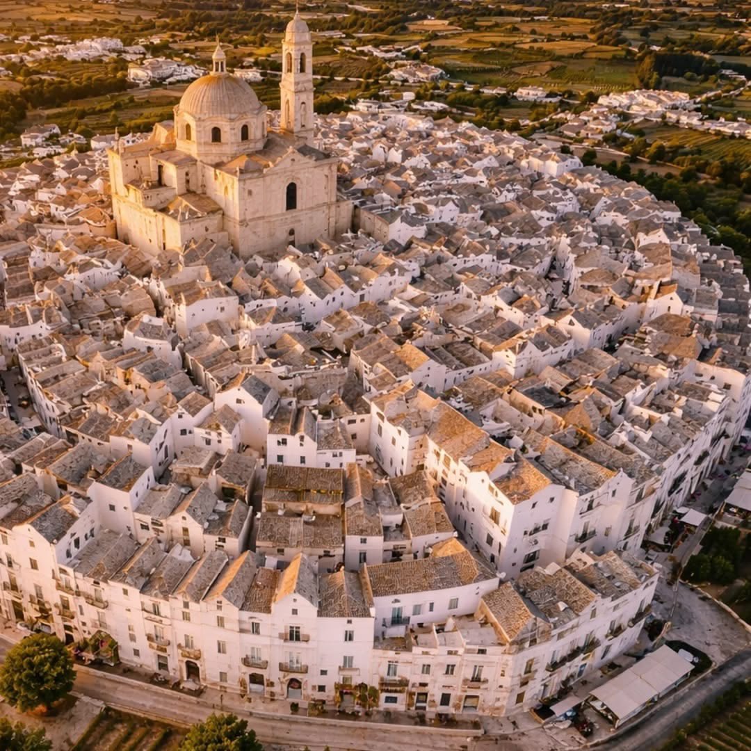 Old World Explorer tweet media