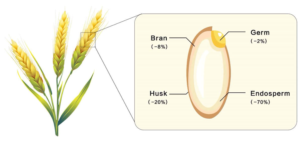 Cosmeticsmdpi's tweet photo. #OpenAccess #Review
📑Title: #Biologically Active Components and #Skincare Benefits of Rice #Fermentation Products: A Review
Authors: Fan Yang et al.
📌 https://t.co/zOyJodvk4I https://t.co/NzJHyfsMxU