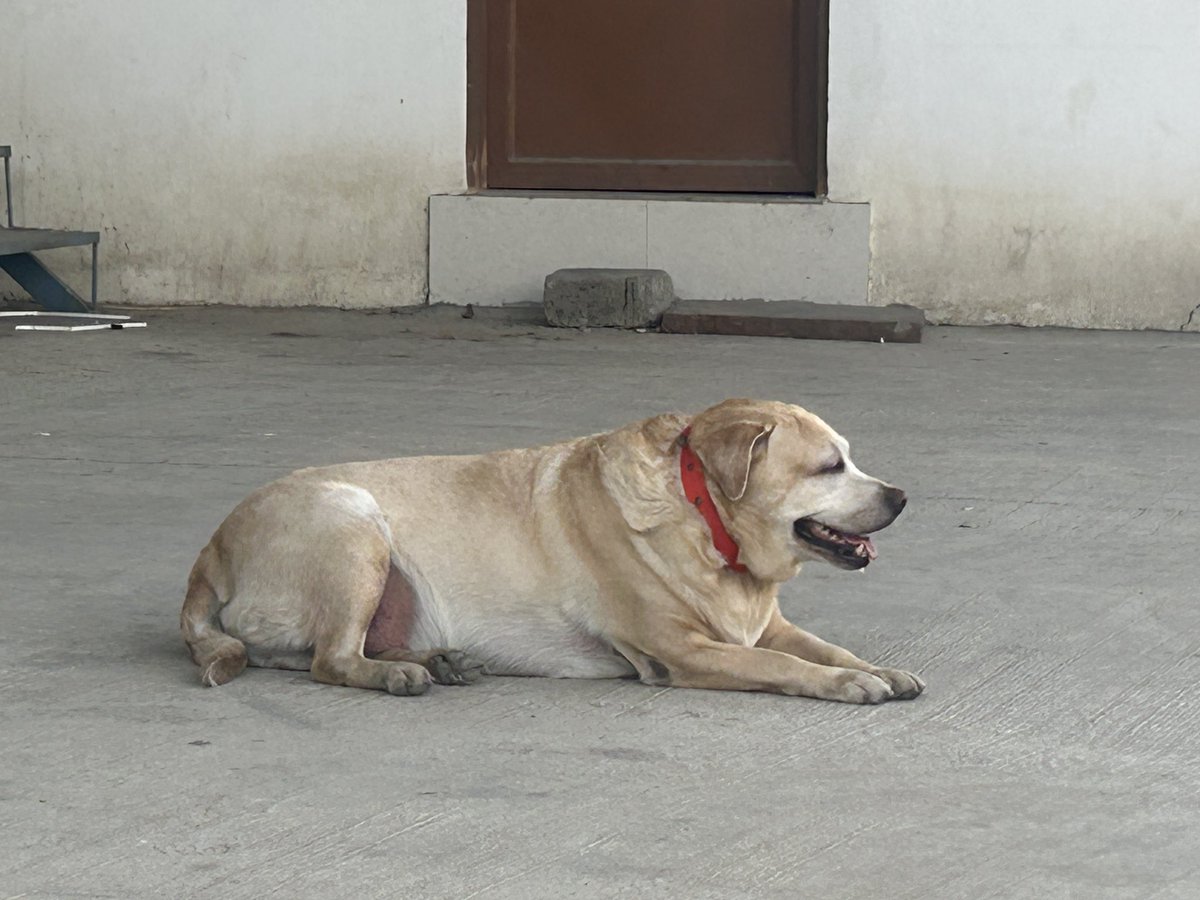 Gyan Jara Hatke tweet media