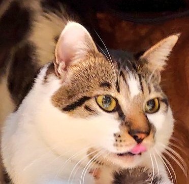 たるたるまるたる tweet media