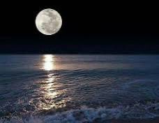 قمر 🇵🇸 tweet media