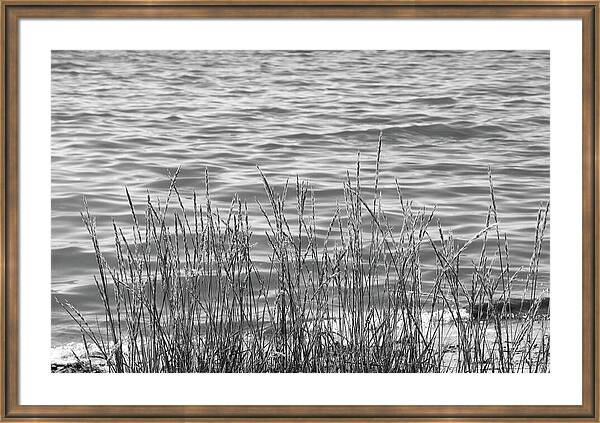 HurmerintaArt's tweet image. Calmness In Monochrome.

Nature gives so much beauty to enjoy. Take a moment and stop... and focus on the nature around you.

#wallart #photography #nature