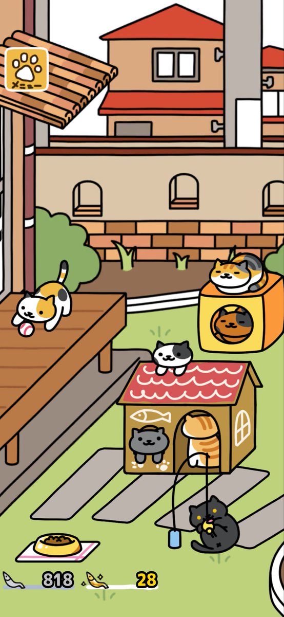 とろろ🍙 tweet media