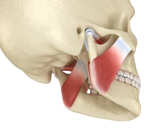 johnhopkins_dds's tweet image. Watch this video to learn more about temporomandibular disorders, how they can develop, and how we treat the condition in our office. #gulfport #implant #dentist bit.ly/48jXoDm