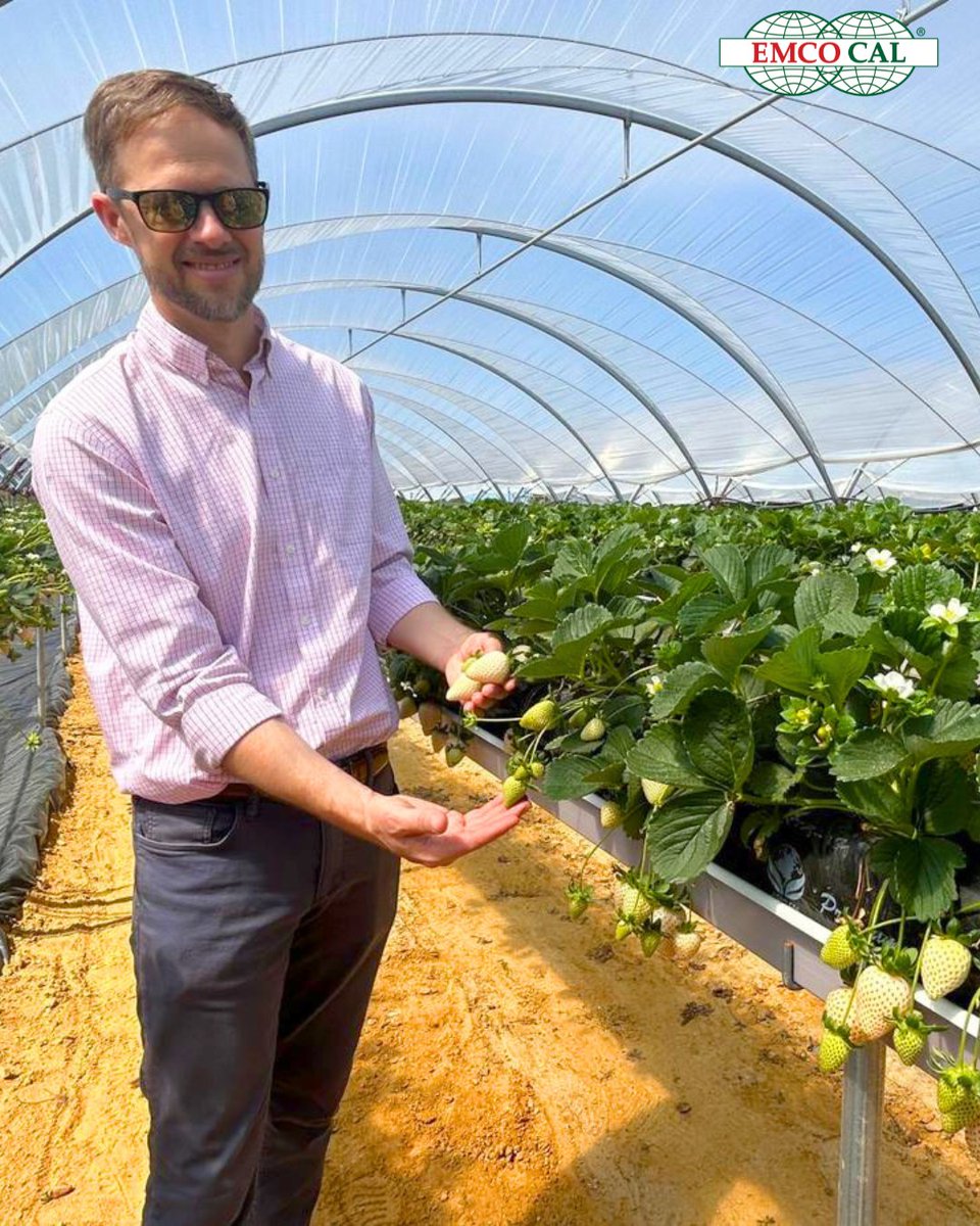 EMCO CAL tweet media