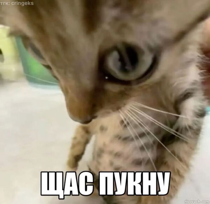 zigmundstein tweet media