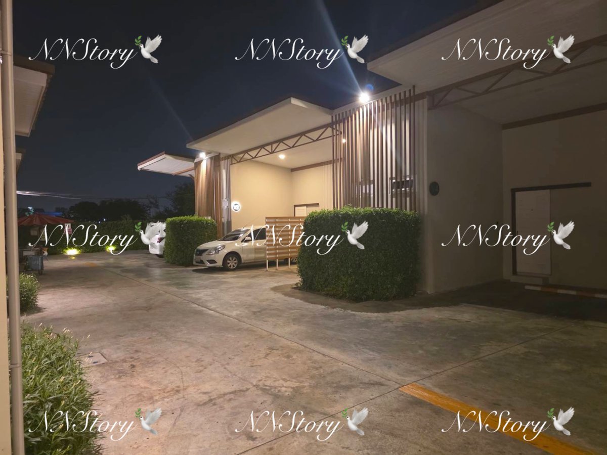 NNStory🕊️ tweet media