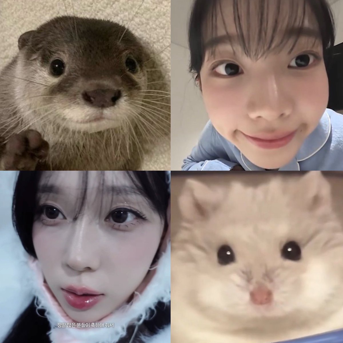 YooNsanta🐰ᯓᡣ𐭩𐙚 tweet media