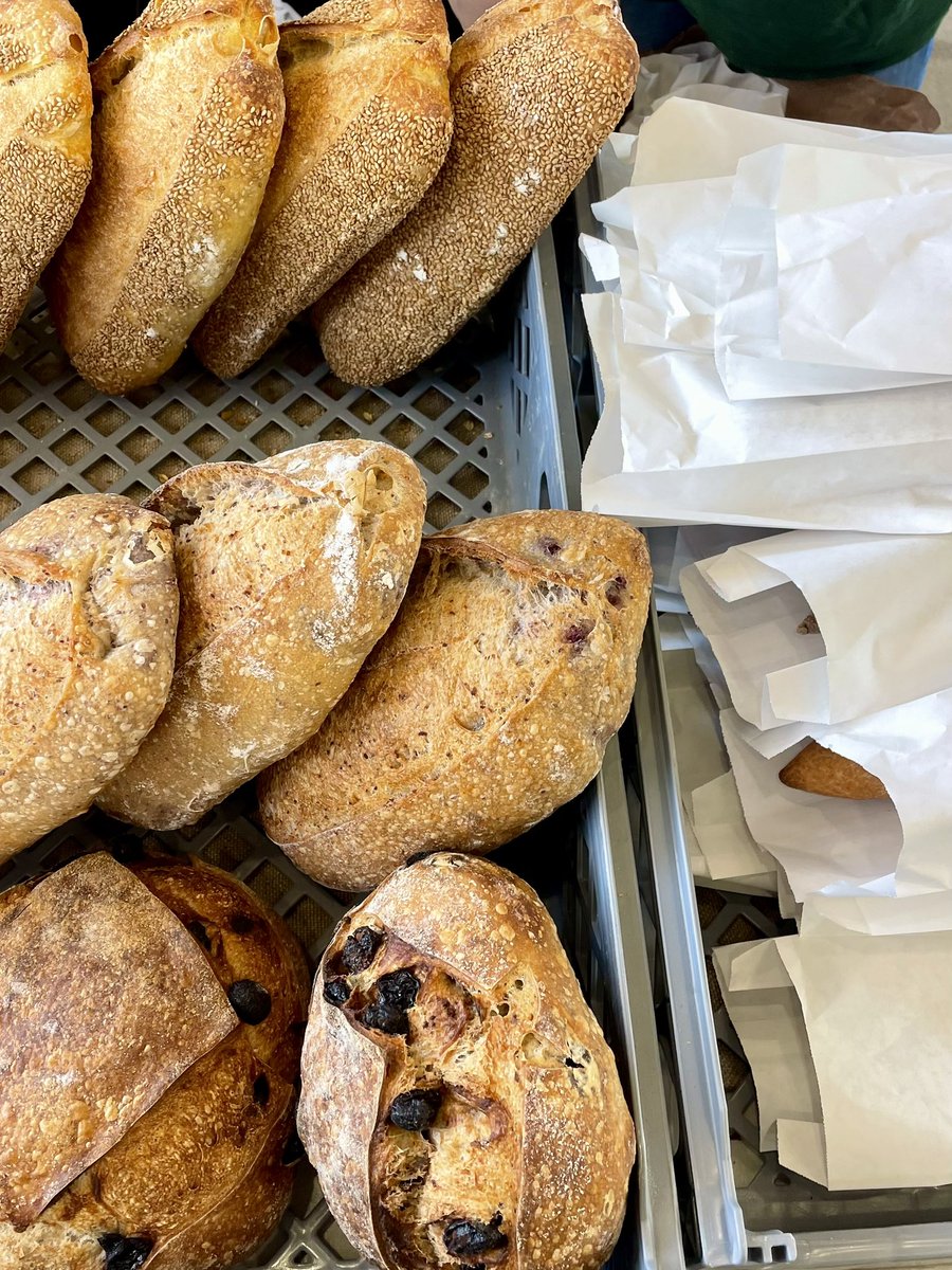 kamalmgren's tweet photo. today I walked around the farmers market 👩‍🌾 🦀 🥖 https://t.co/0yKXLuYoIi
