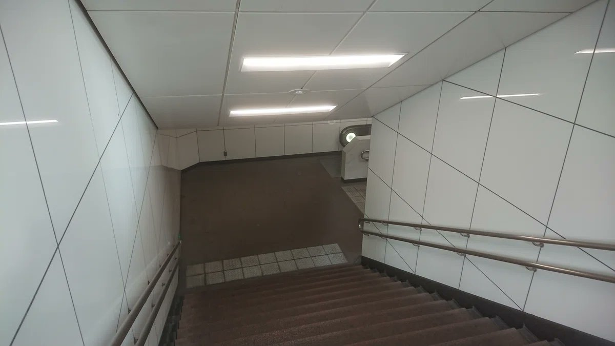 戎井(えびすい) tweet media