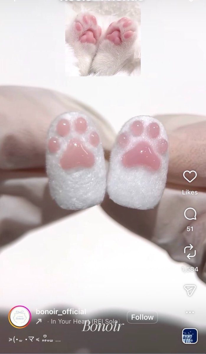 𝑪𝒐𝒄𝒐 tweet media