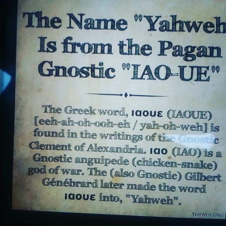 🧬Maxpein🧬 tweet media