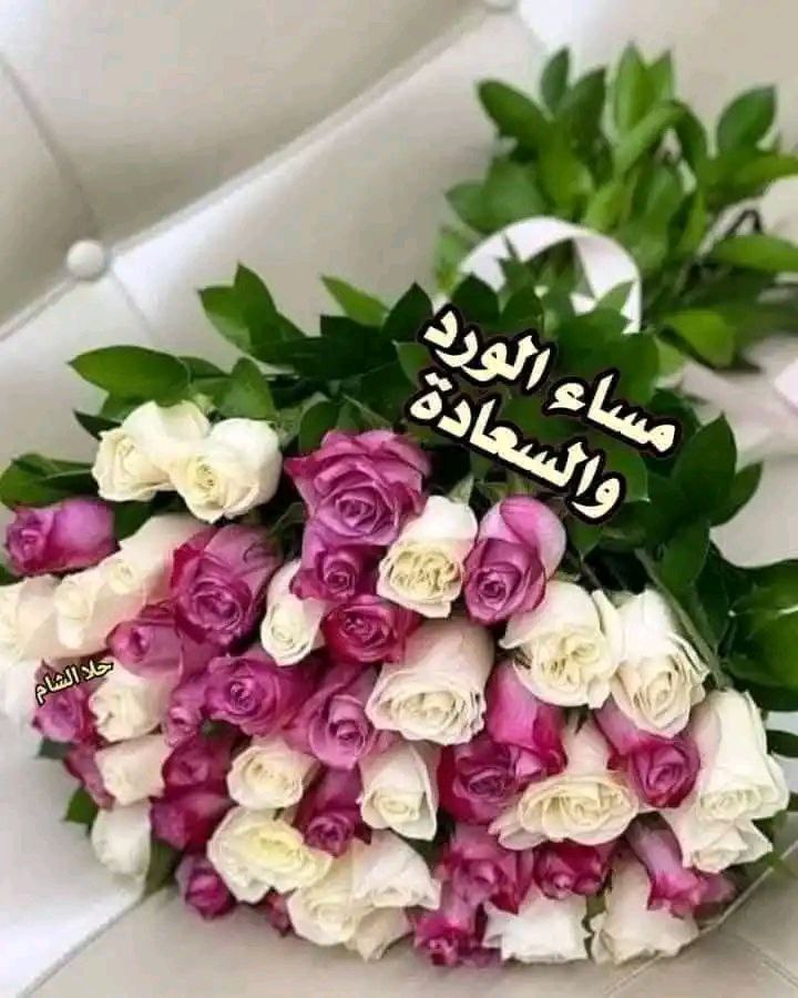 جنتل 🌹مان🌹🌷 tweet media
