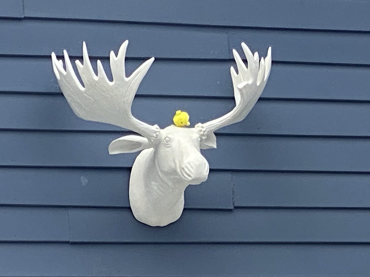 Jdavis_Halton's tweet image. I love quirky. ❤️ #houses 🇨🇦