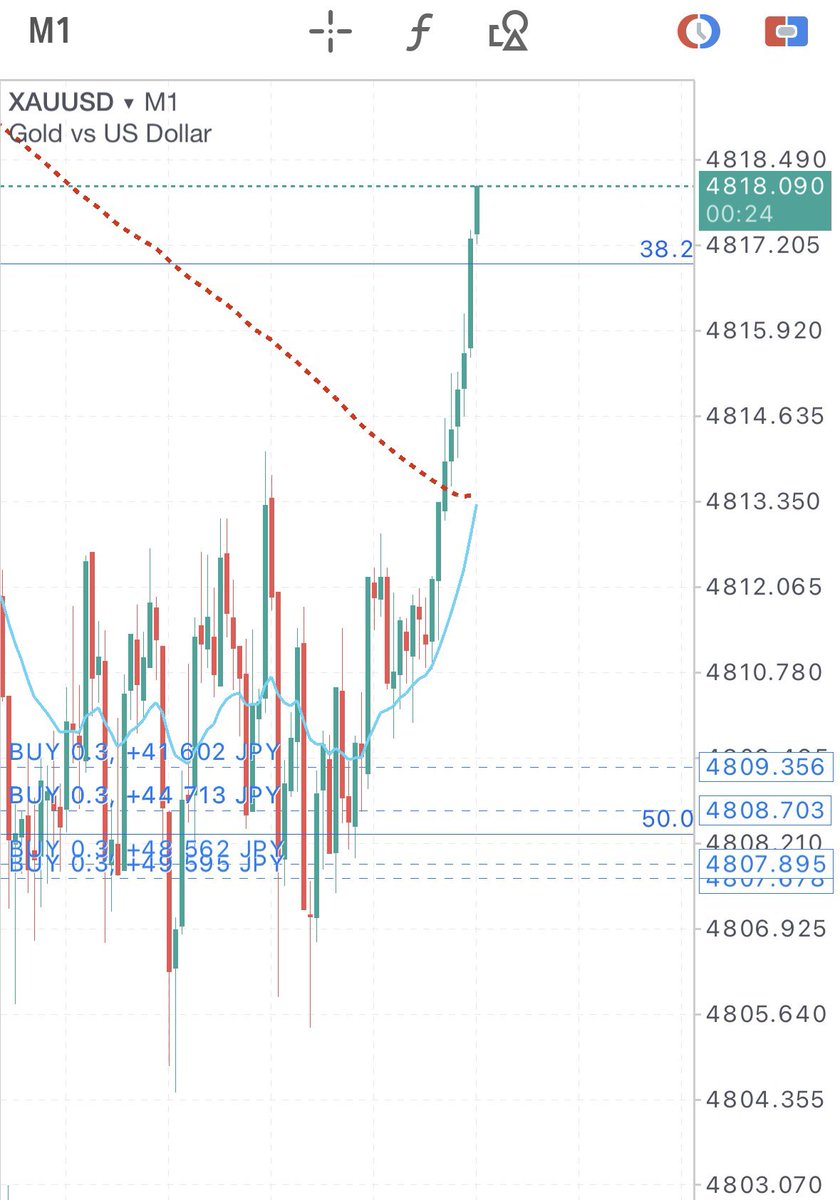 蓮｜FX｜元ジムトレーナー tweet media