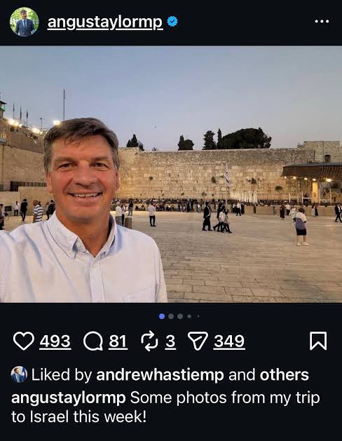 comebacklater90's tweet photo. @TruthFairy131 Anus @AngusTaylorMP is a Zionist shill and will be out of the party as quickly as Susssssan got booted out. He is a #WallLicker https://t.co/fnpaVV363C