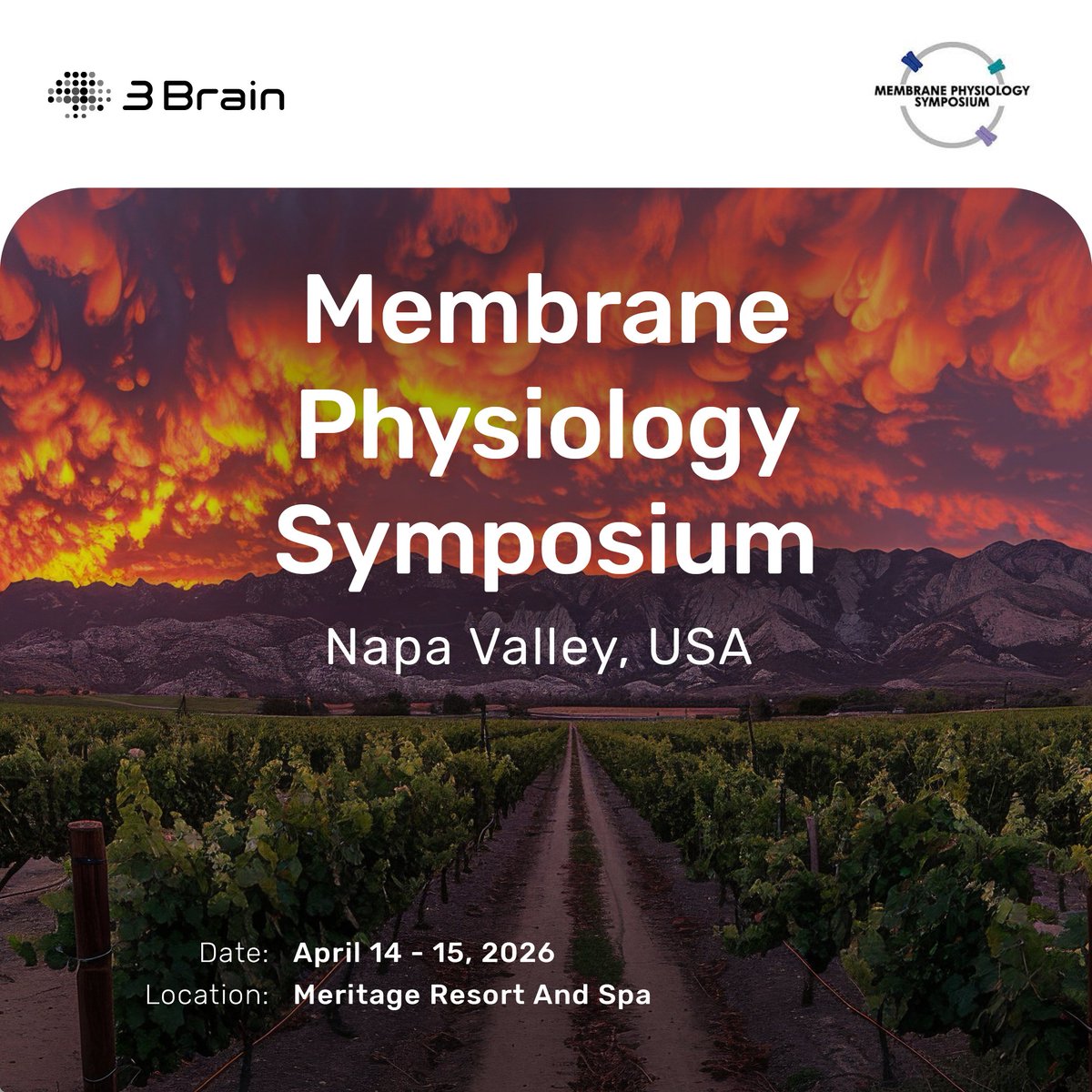 3Brain AG tweet media