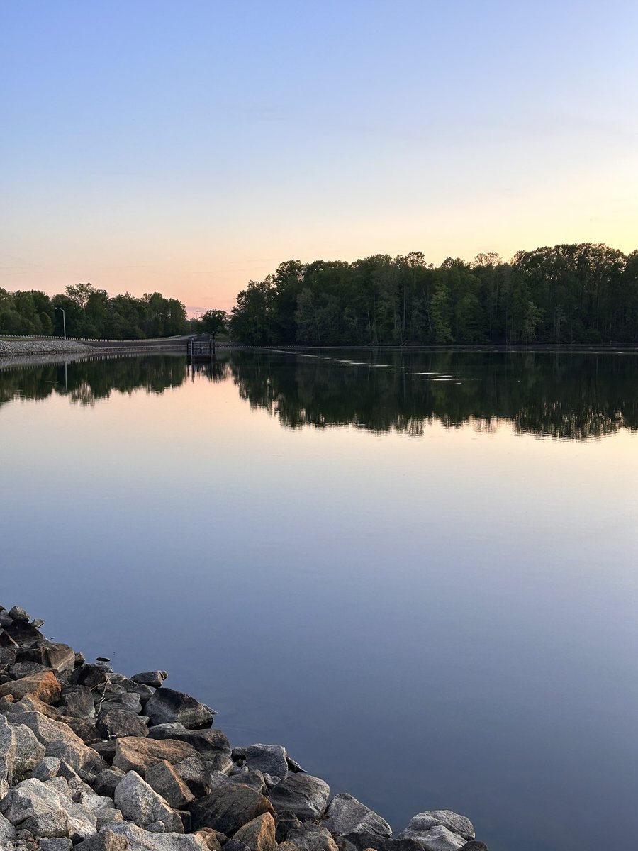 Maiv Lig Lauj tweet media