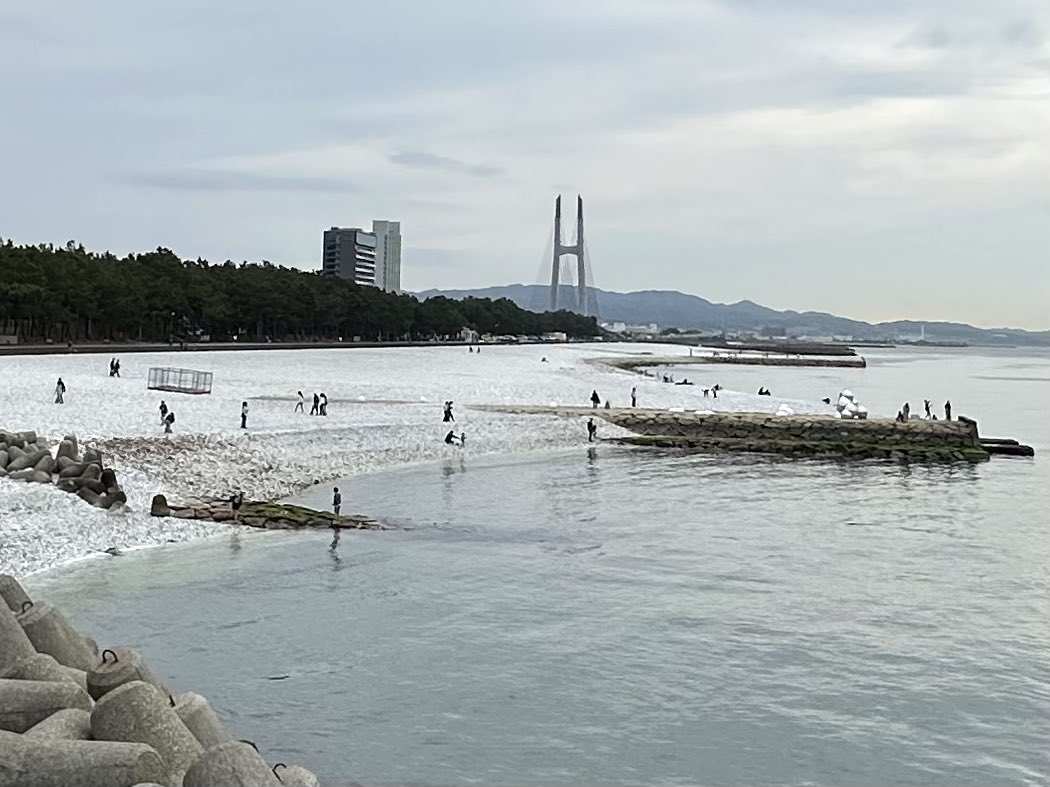 先日、プライベートでりんくうアウトレットの「そらたま」ちゃんを見に行ってきました！✨
あいにくの曇り空でしたが、気温はポカポカ。たまちゃんの周りには人だかりができていて、みんな笑顔で過ごしていました。
こうして喜んでもらえている姿を見ると、本当に設置して良かったです！🙌