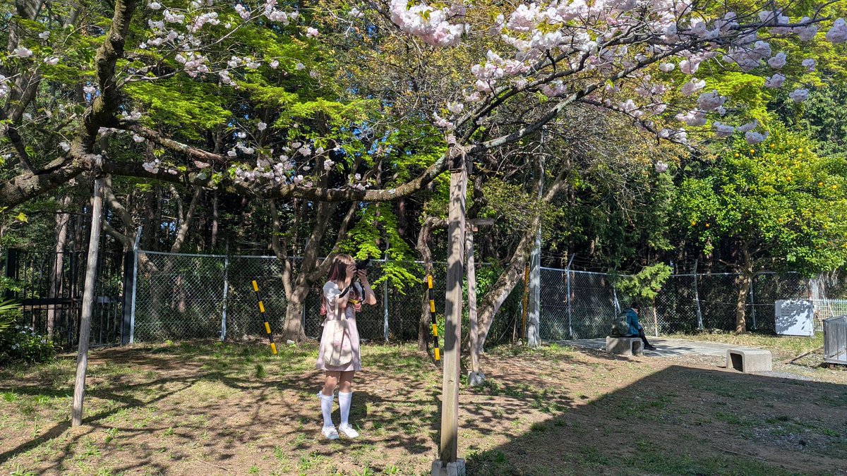 解体地このり tweet media