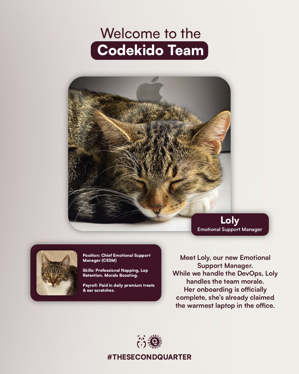 CodekidoDevops's tweet photo. Loly is now our official Emotional Support Manager. 
She joined the team to keep us grounded and reminded of what matters. Her presence is the best addition to our second quarter. 
Welcome to the family Loly.
#cat https://t.co/czru0leaqk