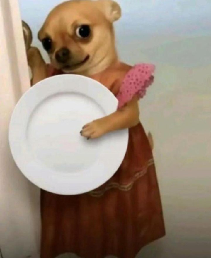 Ayomide💯🏆🥰 tweet media