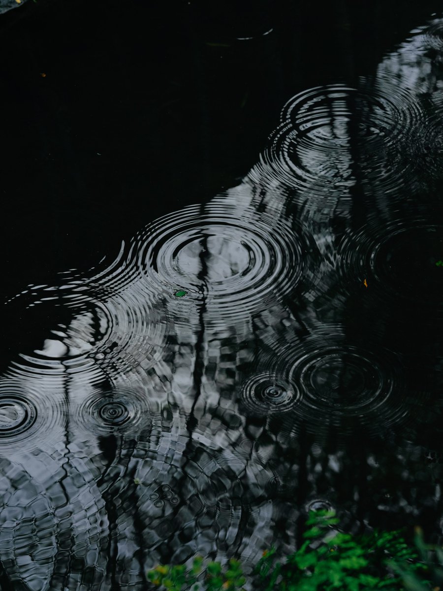 宮前 真也/shinya miyamae tweet media