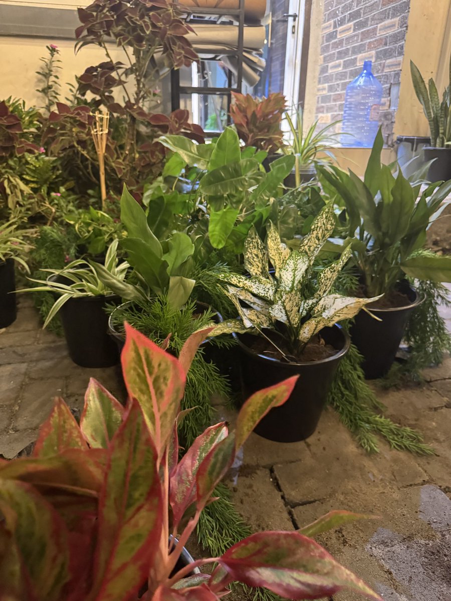 BLOODY CIVILIAN 🇳🇬👾 tweet media