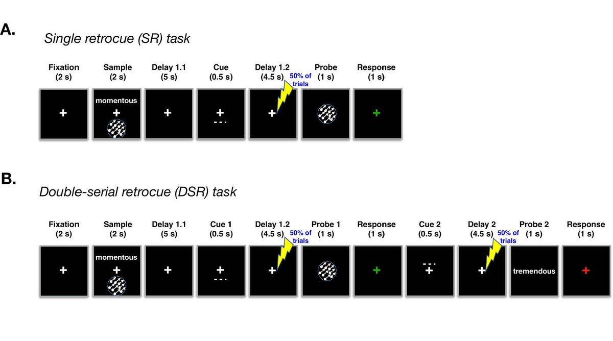 SfN Journals tweet media