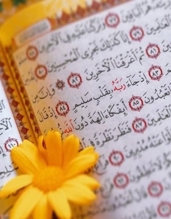 İlayda Mutluer tweet media