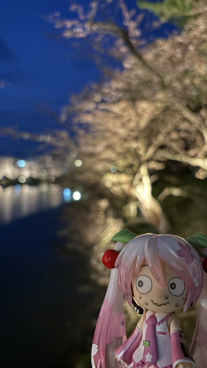 タンパク(優しくなりたい) tweet media