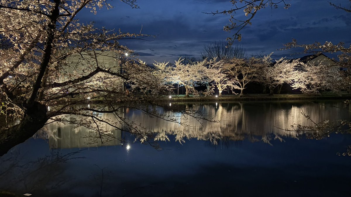 タンパク(優しくなりたい) tweet media