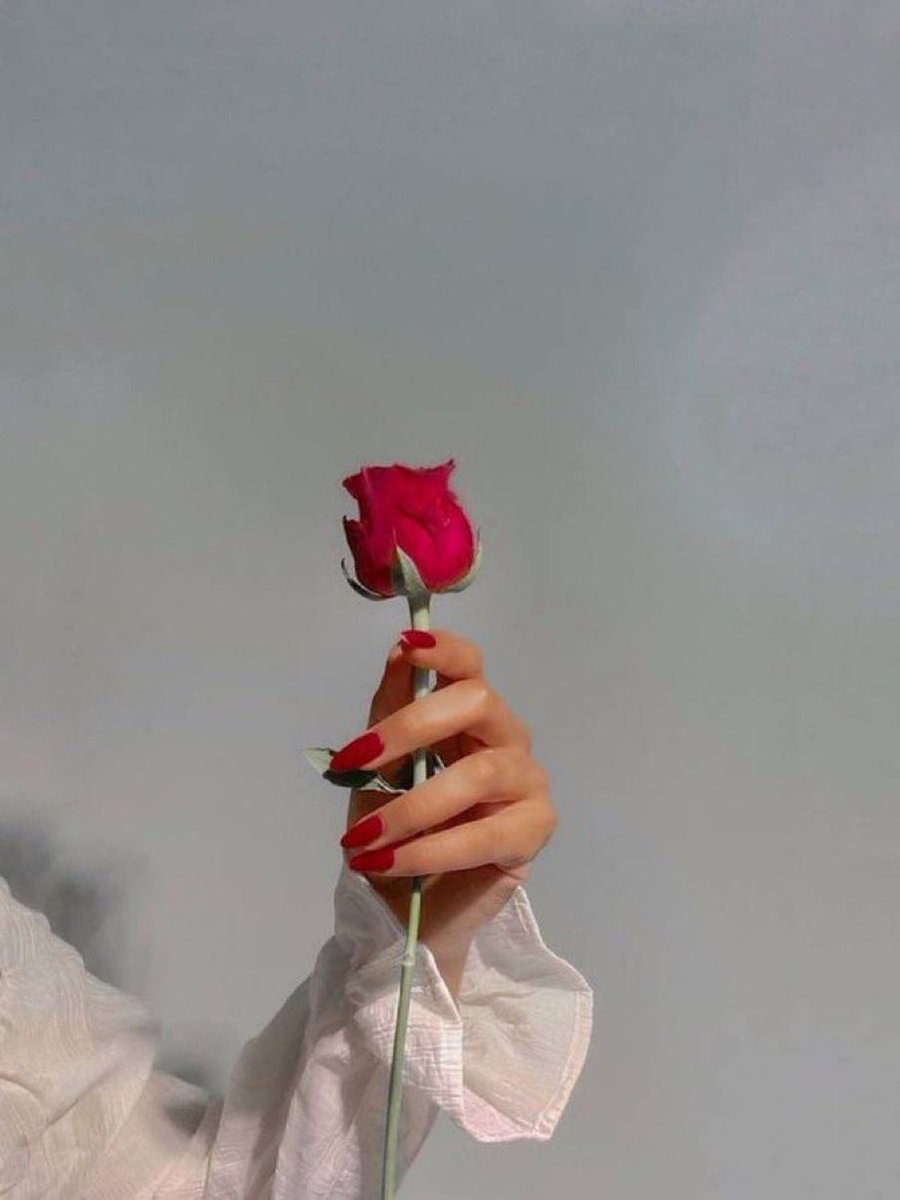 كاليا tweet media