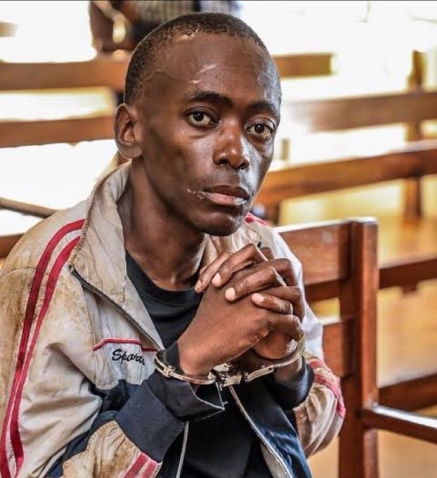 Sir kisekka tweet media