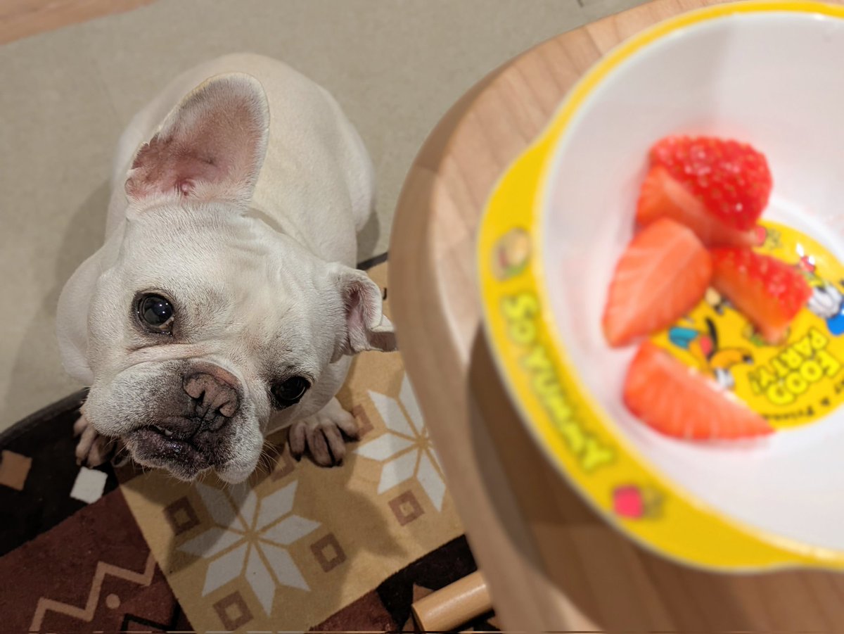 ハルヒコ tweet media