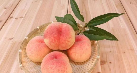 bilionare100's tweet photo. Bite into a sunny snack—juicy peach slices drizzled with honey!  Crisp, sweet, perfect for a midday pick-me-up. https://t.co/oH7XCLT7lI