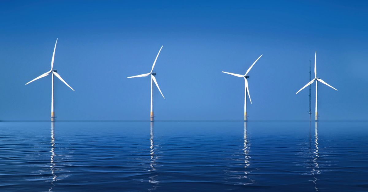 Softweb Resourcing tweet media