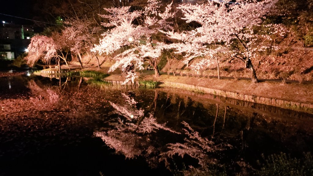 ねじ・せじも tweet media