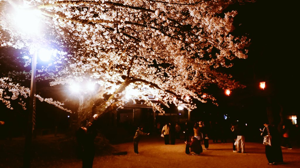 ねじ・せじも tweet media