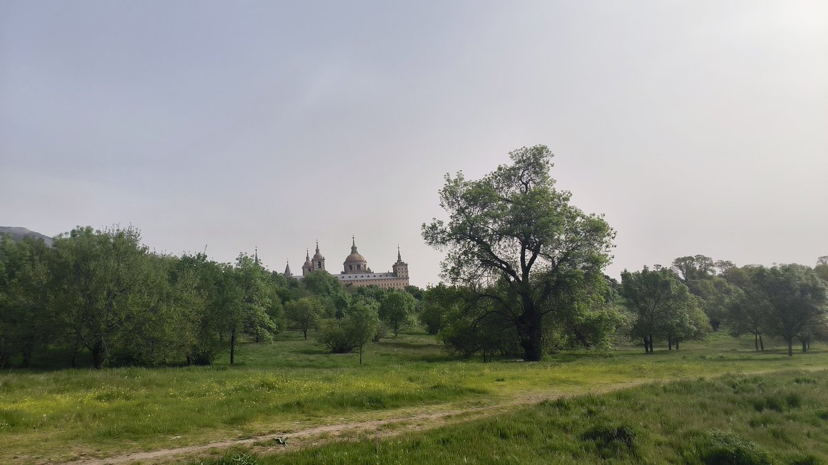 『 ̷N̷a̷c̷h̷o̷ ° ̷K̷o̷r̷i̷ 』 🎍 tweet media