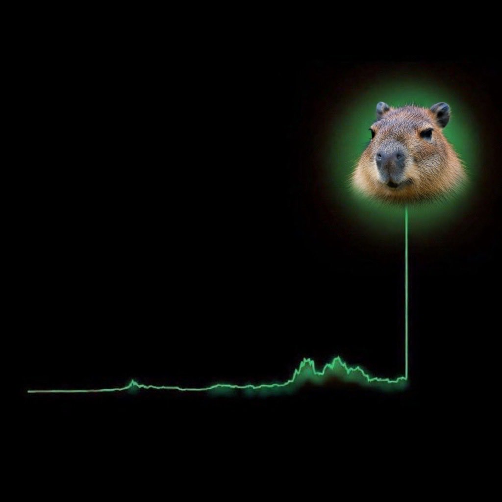 PanicNOW tweet media