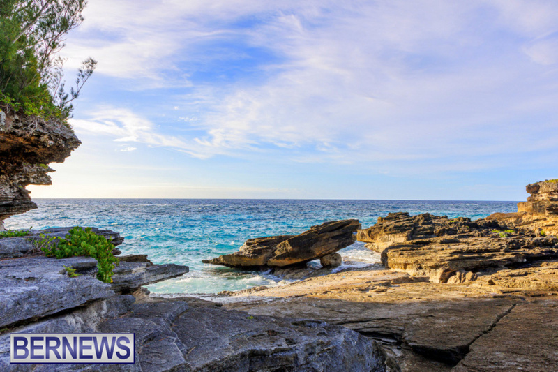 bernewsdotcom's tweet image. A peaceful day at the water's edge at Spittal Pond #Bermuda #ForeverBermuda Bernews.com