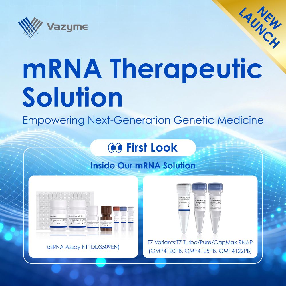 VazymeBiotech's tweet image. Cleaner #mRNA starts with better tools.
👉 Explore our latest mRNA Therapeutic Solution&amp;gt;&amp;gt;bit.ly/4tTHR8x
Vazyme integrates engineered T7 variants with assay kits to support scale-up and QC with more consistent results.

#IVT #THERAPY #RNA