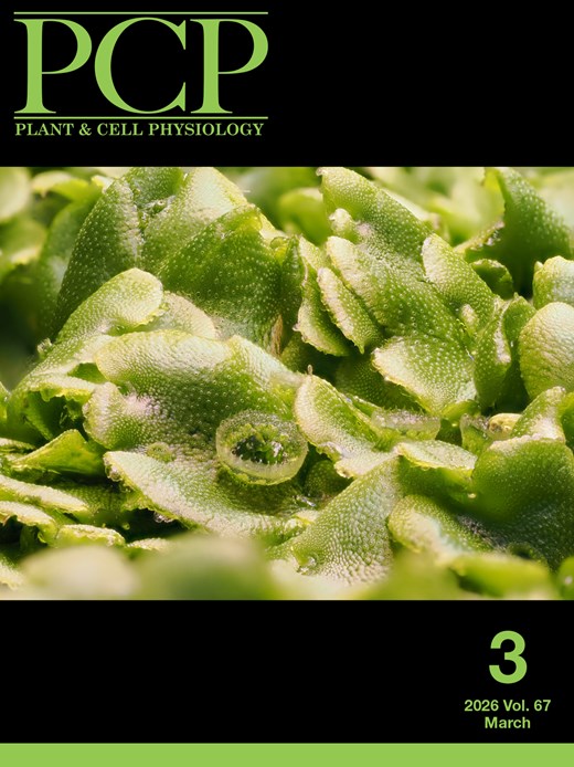 Plant Cell Physiology tweet media