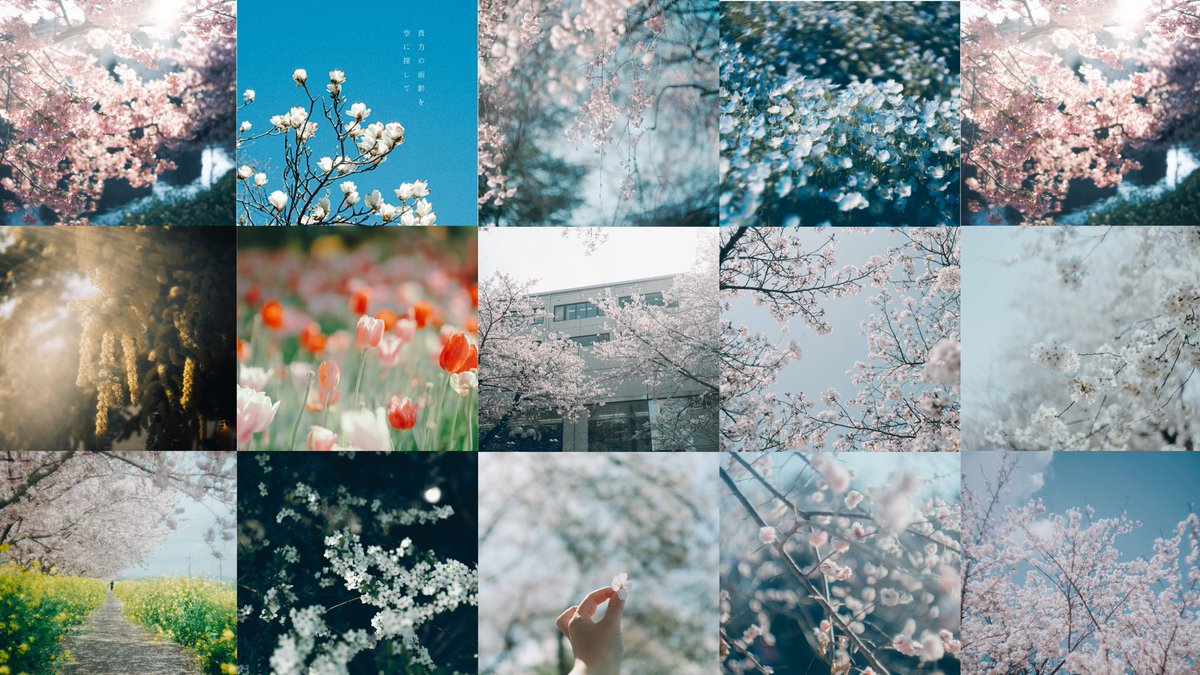 未 空 │ ᴍ ɪ ᴋ ᴜ ☁️ 個展6/12-14 tweet media