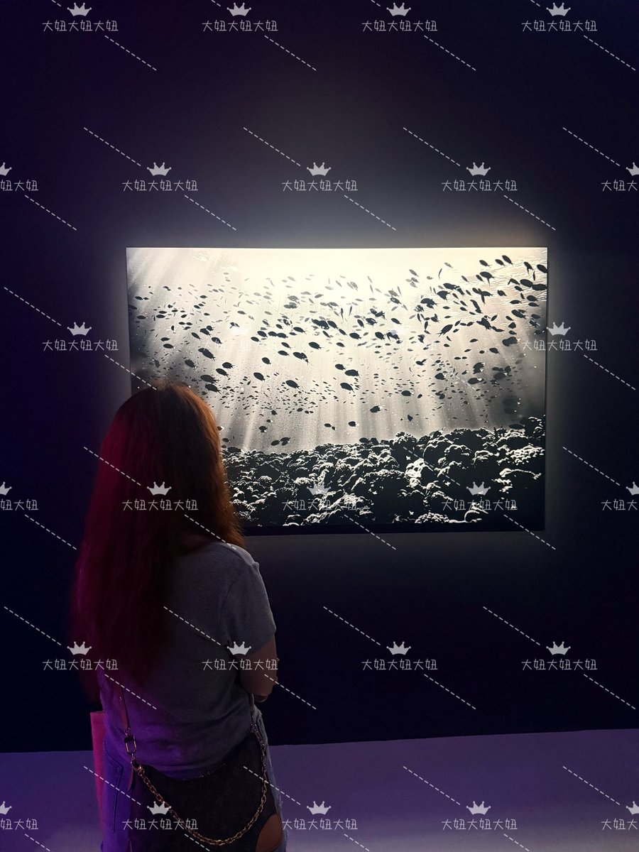 💕大妞💕 tweet media