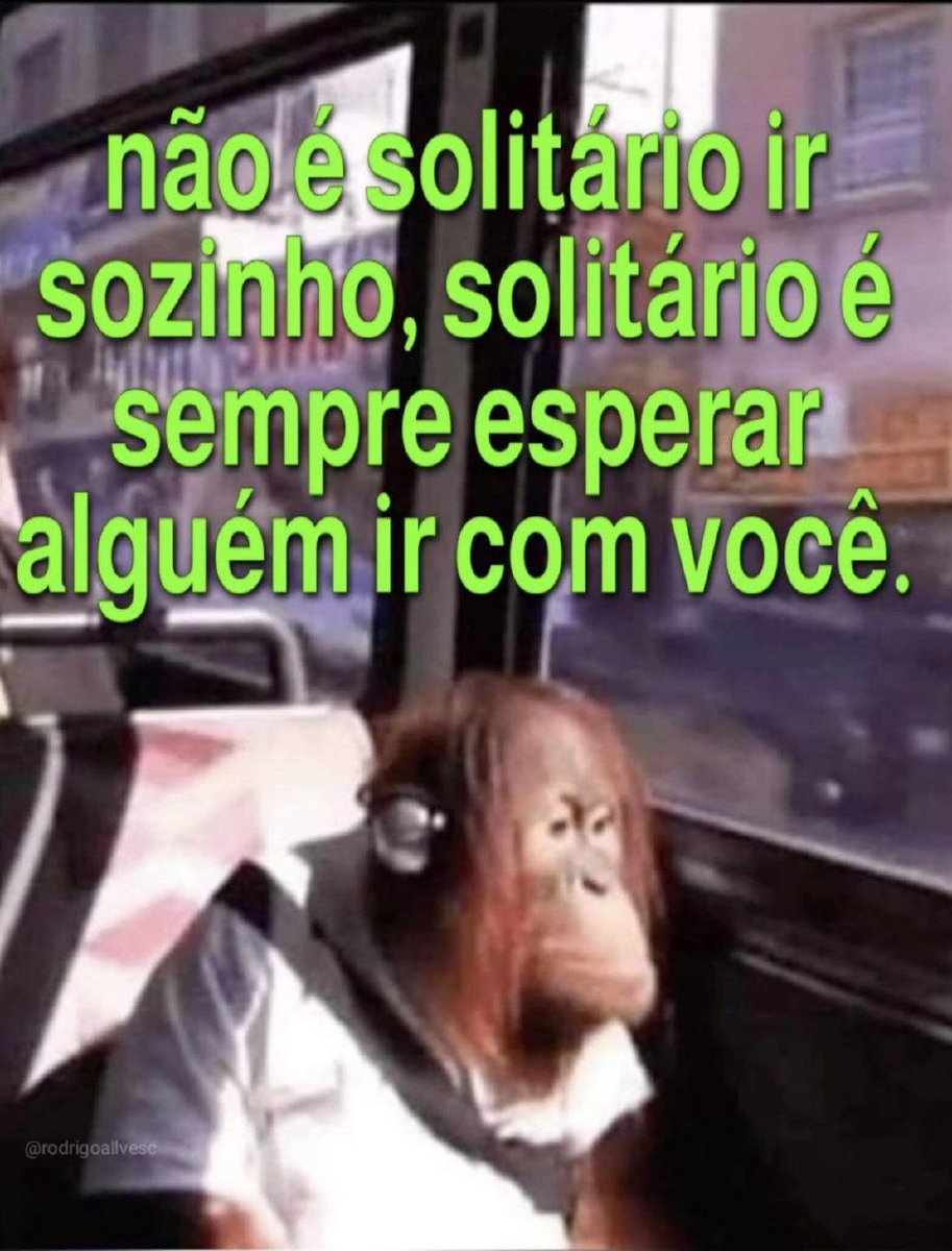 memes extremamente horríveis (ou bons) (@memes_horriveis) on Twitter photo 