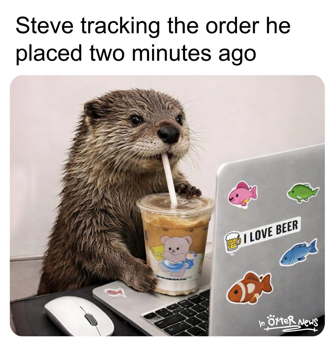 In Otter News.... tweet media